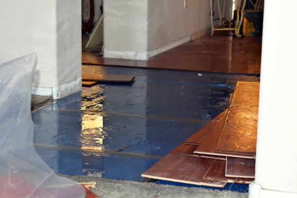 Professional Sewage Cleanup technician working in Newport, MI